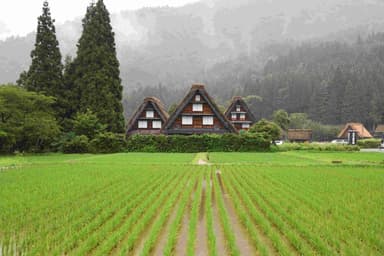 世界遺産・白川郷にお越しください！