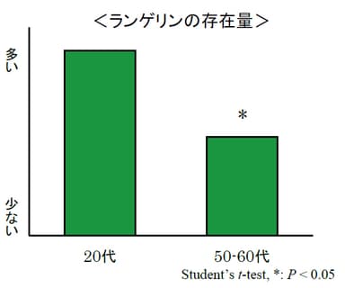 ランゲリンの存在量