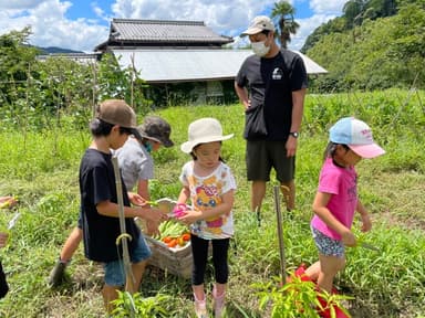 Nature School