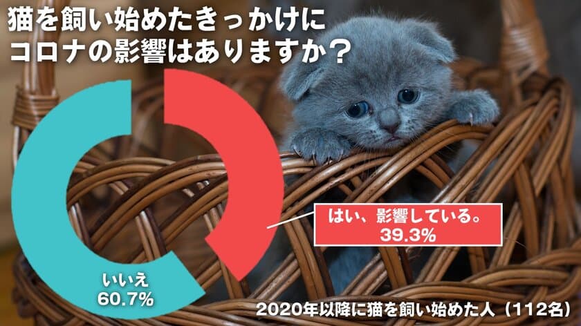 猫グッズを販売するブランド「なにわ猫」が猫に関する調査を実施
　猫を飼い始める理由「新型コロナの影響」が約4割