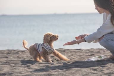 愛犬と一緒に記念撮影4