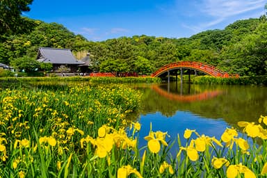 称名寺(神奈川県)の橋をイメージして作られています。