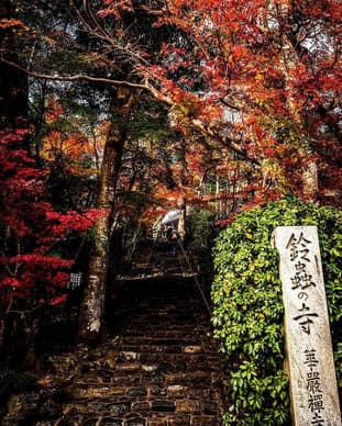 京都華厳寺　鈴虫寺(7)