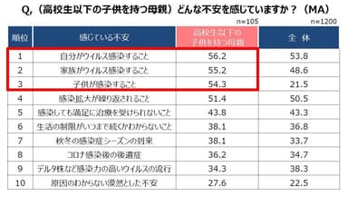 (高校生以下の子供を持つ母親) Q.どんな不安を感じていますか？