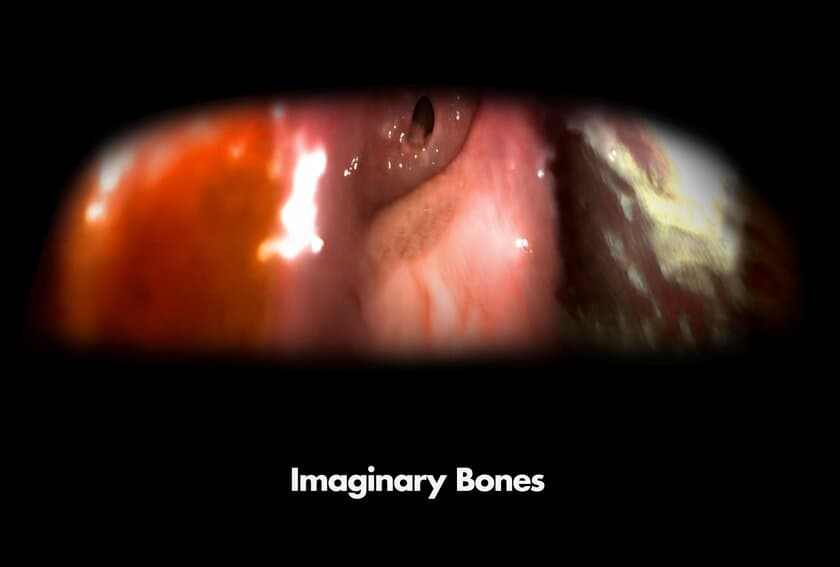 岸 裕真　個展「Imaginary Bones」　
神楽坂・√K Contemporaryにて10月17日より開催！