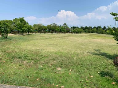 新浜緑地(芝生広場現状)