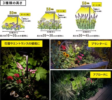 花のひかり　使用イメージ