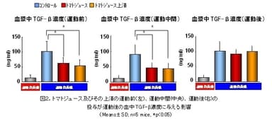 図2.トマトジュース及びその上清の運動前(左)、運動中間(中央)、運動後(右)の投与が運動後の血中TGF-β濃度に与える影響