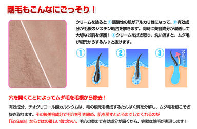 ムダ毛を毛根から除去