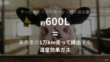 牛1頭がげっぷやおならとして放出するメタンガスの量は、1日160～320リットルにも上ると言われ、地球上には約15億頭の牛がいる。そのほとんどは肉牛や乳牛として繁殖させられたり、飼育されたりしている。