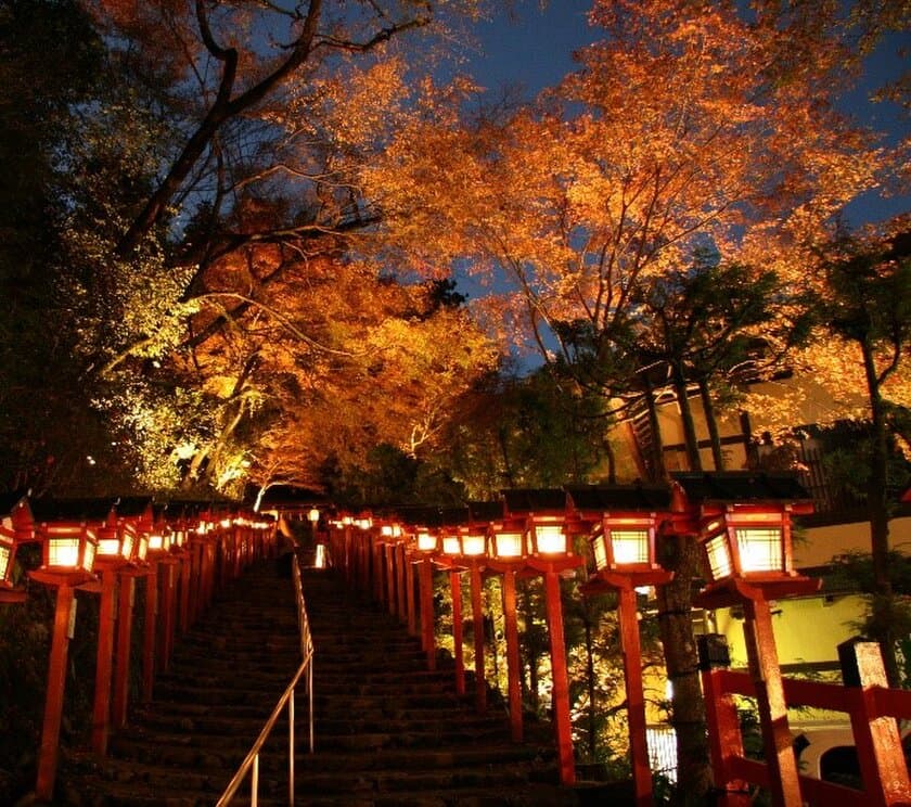 ～秋の夜空を彩る紅葉のライトアップ～
11月6日(土)～28日(日)に「京の奥座敷・貴船もみじ灯篭」を開催します