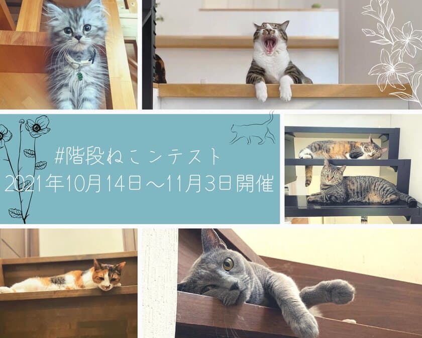 人だけでなく猫にも住みよい階段を　
階段専門メーカーがペット×住まいの質向上に向けて
「階段ねこンテスト」を開催