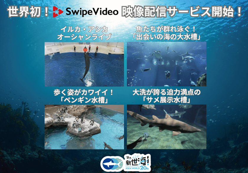 世界初！「SwipeVideo」を使用した
新映像配信サービスがスタート！
2021年10月11日(月)より配信開始