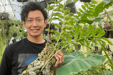 伊藤蟻植物農園 代表・伊藤 彰洋