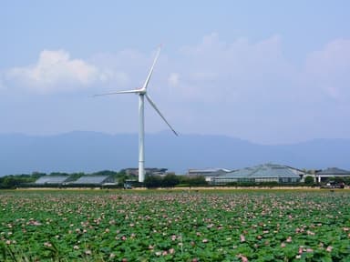 烏丸半島