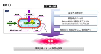 (図1)除菌プロセス