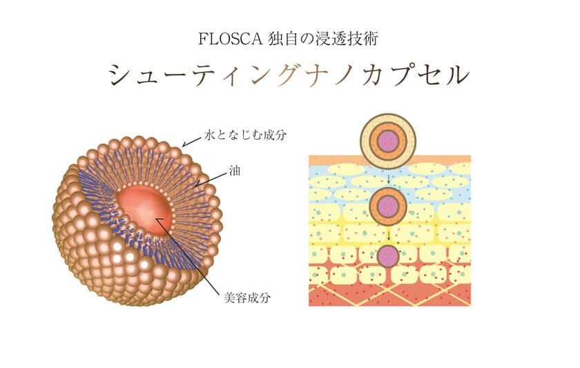 プレミアムエイジングケアのFLOSCA、
厳選した成分をナノカプセルに内包し
高濃度配合した濃密クリームを12月より販売