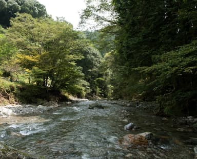 山間エリアの風景「名栗川」