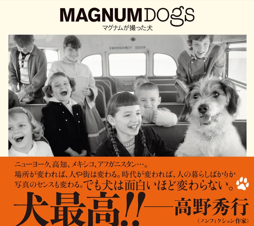 写真集『MAGNUM DOGS マグナムが撮った犬』
10月25日（月）発売！