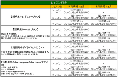 Gaba冬の短期集中プラン料金表