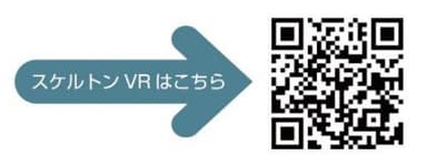 スケルトンのVRをご用意しています