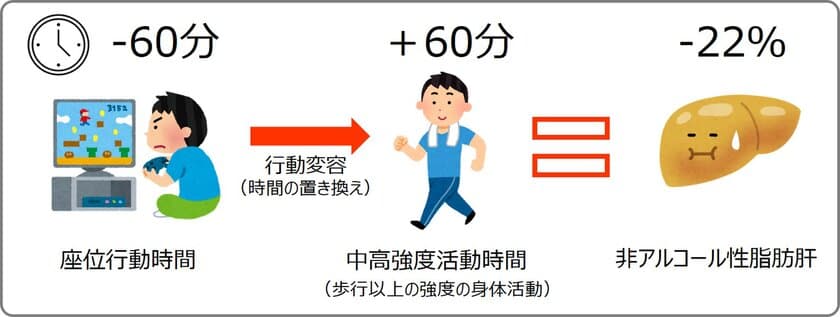 座っている時間を1時間減らして身体活動に充てると
脂肪肝である可能性が2割減と試算