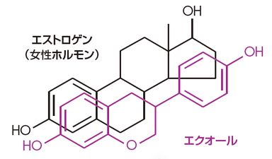 エクオールとは2