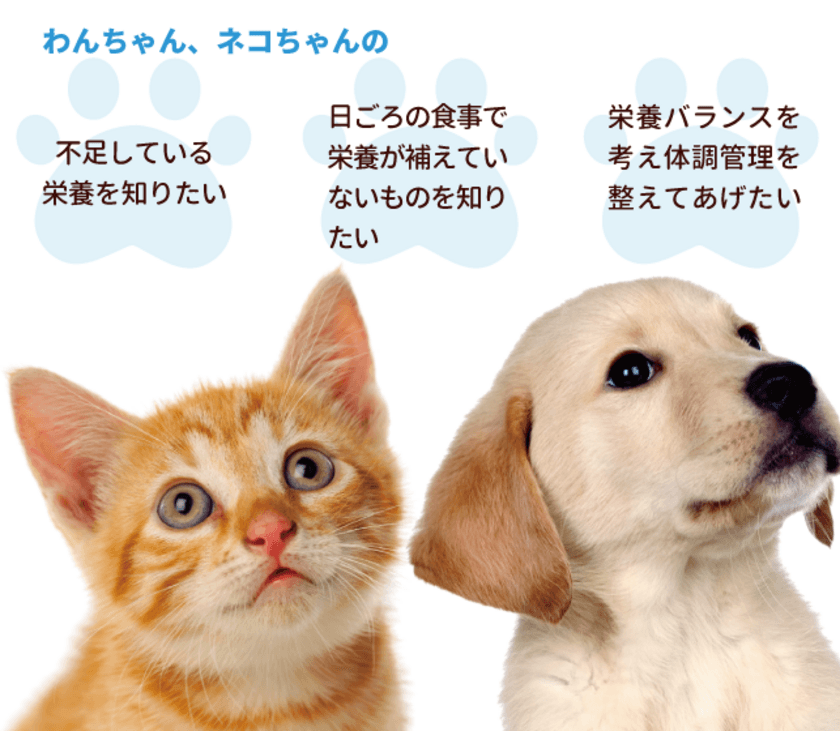 犬猫用不足栄養素検査／ペットの栄養素足りていますか？
被毛から検査できる不足栄養素検査「フソクタス(不足＋)」を発売