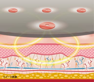 ゼロ磁場コイルの作用イメージ