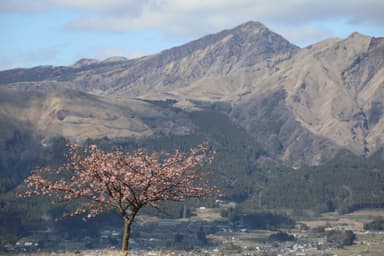 南阿蘇からの阿蘇五岳