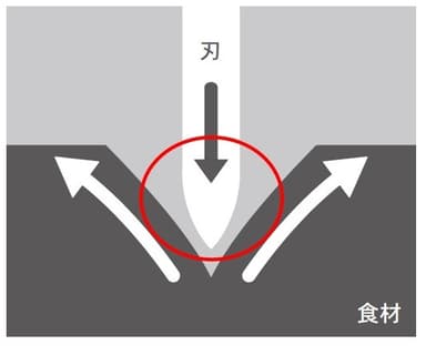 ハマグリ加工