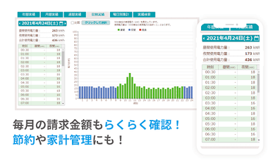 2. ふらっとでんきについて (3)便利なサービスオプションや機能も満載 ～ポータルサイト～