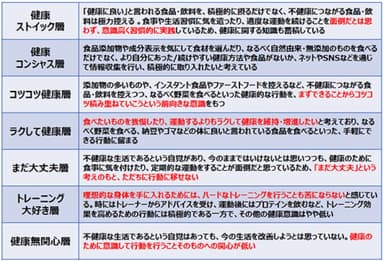 図2　健康セグメントの特徴一覧