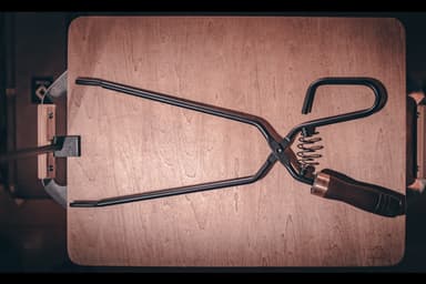 TAKIBI TONGS