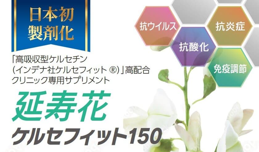 ＜日本初製剤化＞
新型コロナウイルス感染後の発症リスクを大幅低減！
臨床試験で、感染後の重症化率0％、死亡率0％を確認した、
高吸収型ケルセチンの高配合サプリメントの受注開始