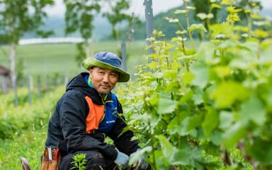 Domaine Takahiko