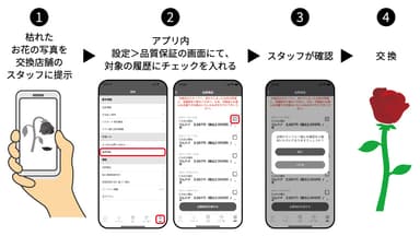 ハナノヒ5日間品質保証フロー_日比谷花壇