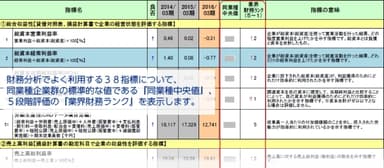 帳票イメージ2(現状診断機能)