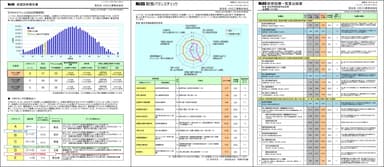 帳票イメージ3(現状診断機能)