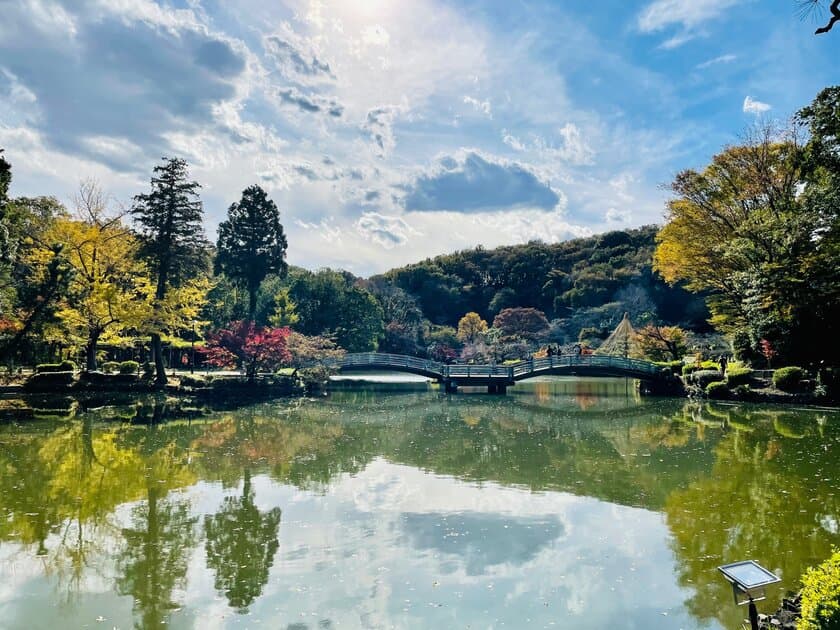 “町田の秋”の風物詩　
東京都町田市・薬師池「紅葉まつり」を11月末まで開催
　11月28日(日)まで紅葉ライトアップを実施