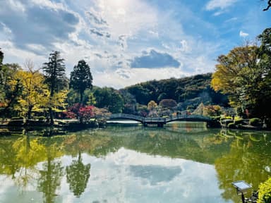 薬師池公園