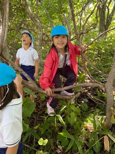 子どもたちの森遊び