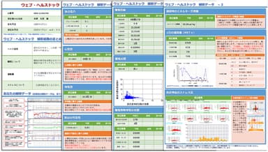 解析レポート