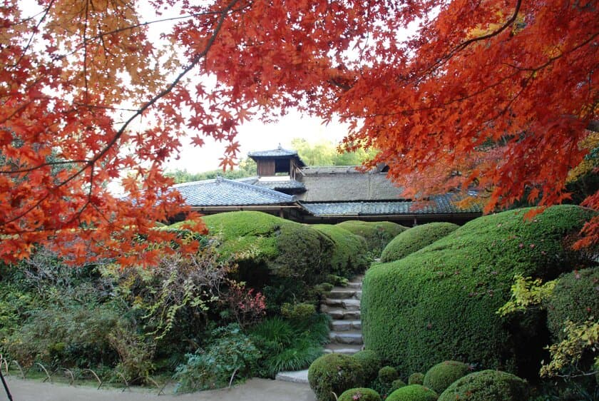 京都府京都市「詩仙堂丈山寺」が
境内の里山及び建物環境保全プロジェクトの
クラウドファンディングを開始 ＜2022年1月10日まで＞