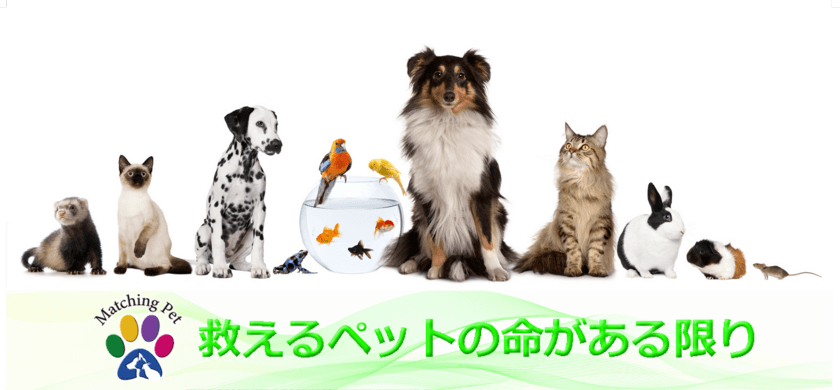 保護ペットや高齢化によりペットを手放す方のための
マッチングサイト「Matching Pet／マッチングペット」が
全国市町村1,900箇所あてにパンフレットを12月15日より配布