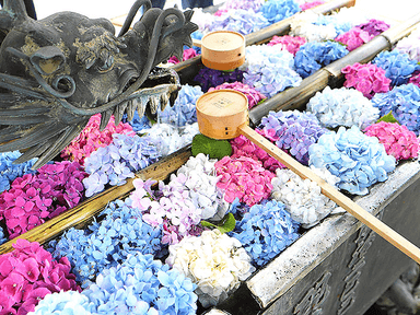 柳谷観音 楊谷寺の花手水