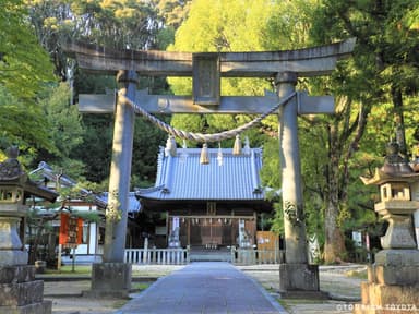 松平東照宮1