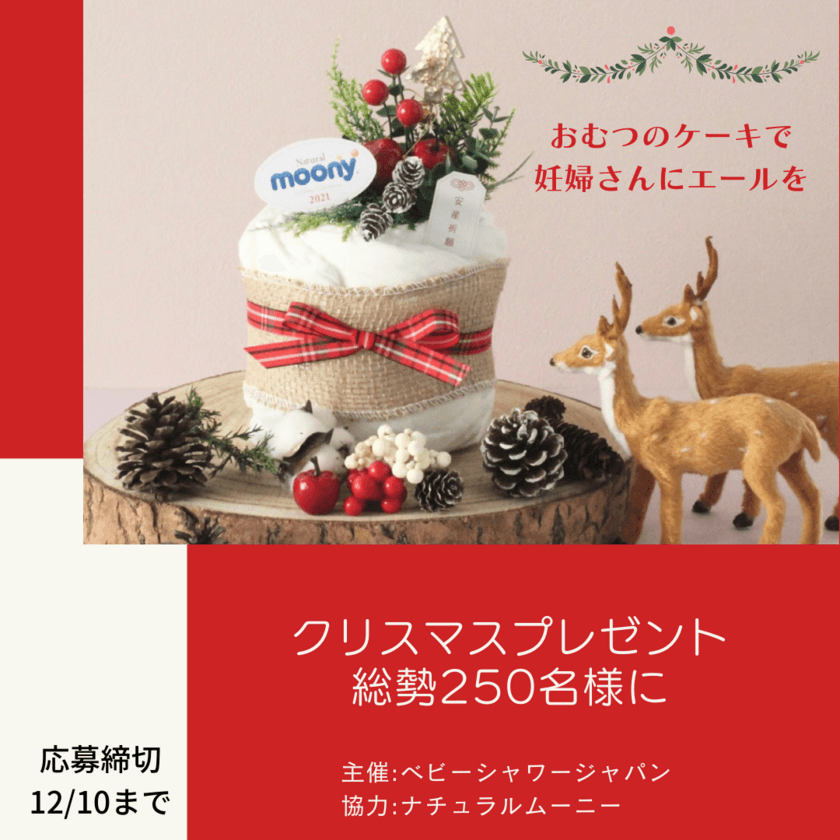 妊婦さんにエールを届けよう！
総勢250名様に向け、ダイパーケーキ(おむつケーキ)の
クリスマスプレゼント企画が11月25日から開始