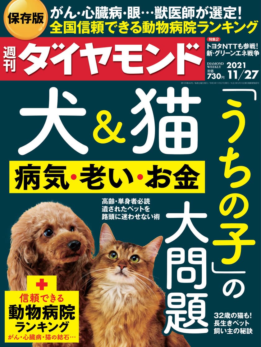 犬と猫の整形外科治療に特化した動物病院
「ONEどうぶつ整形外科センター」が、
獣医師が選ぶ信頼できる動物病院ランキング
【整形外科編】(週刊ダイヤモンド)にて日本で1位を獲得