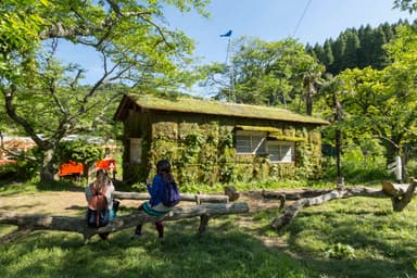 月崎駅の作品　木村崇人《森ラジオ ステーション×森遊会》撮影：中村脩